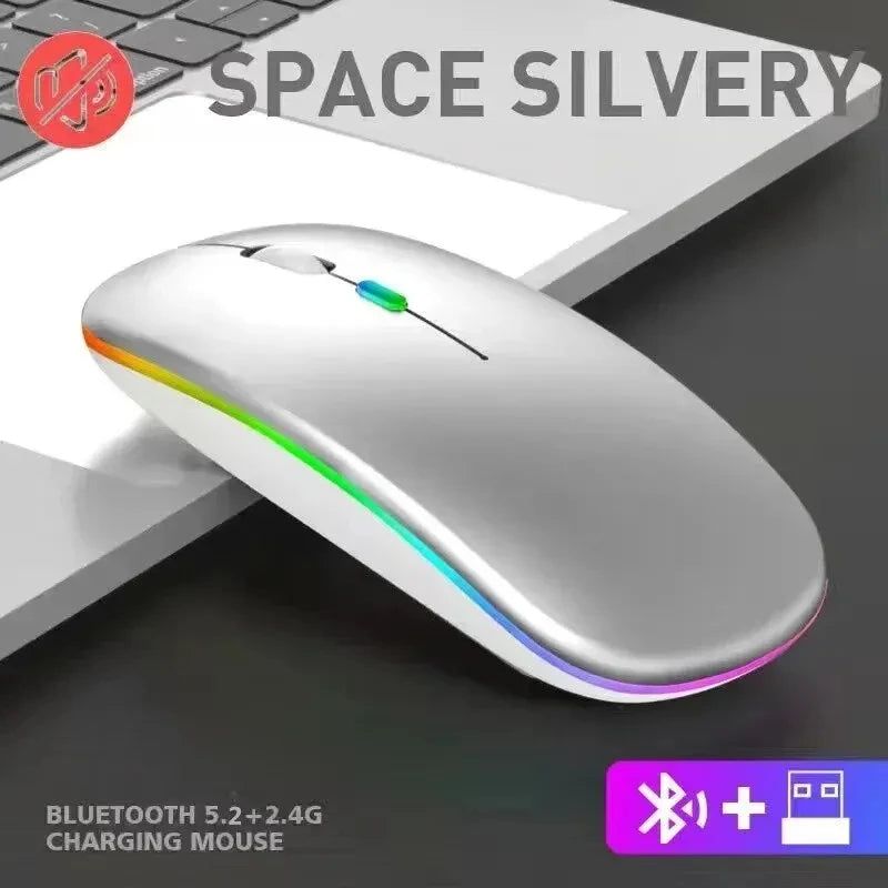 Wireless Rechargeable Silent Mouse | Bluetooth & 2.4GHz | 1600 DPI Smooth silver | Afrocentric